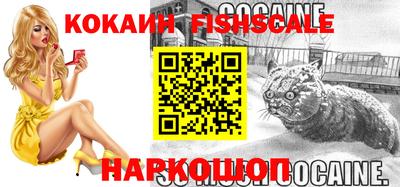 стаф Кингисепп