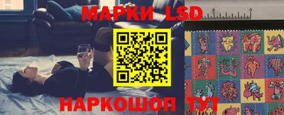 стаф Кингисепп