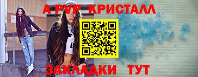стаф Кингисепп