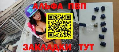 стаф Кингисепп