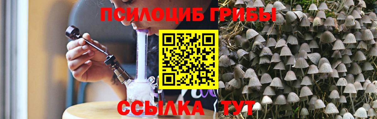 Хабаровск  Галлюциногенные грибы GOLDEN TEACHER  Вход с VPN 